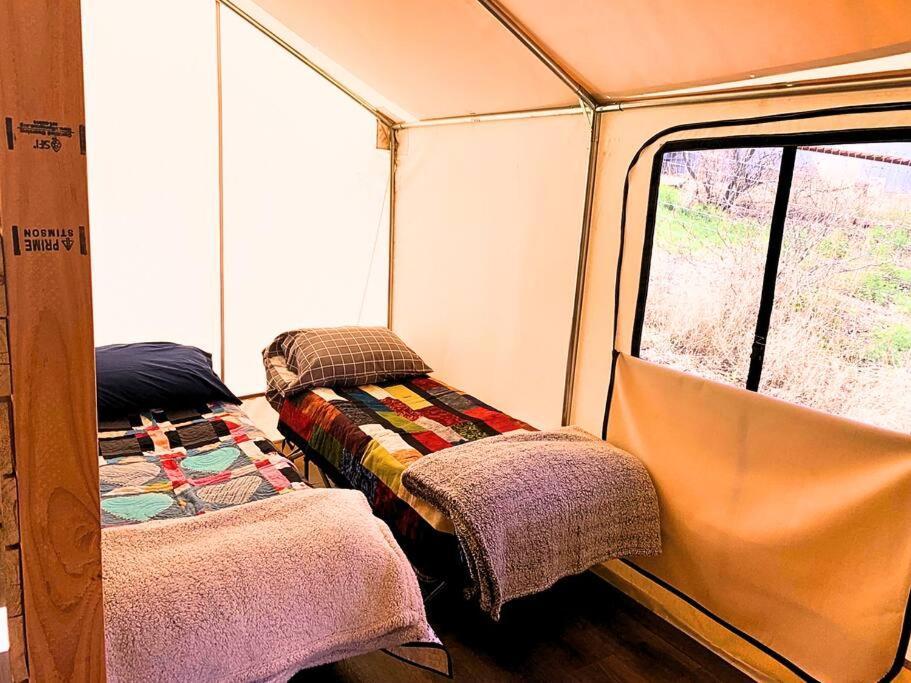 Silver Spur Homestead Luxury Glamping - The Cowboy Tombstone Eksteriør bilde
