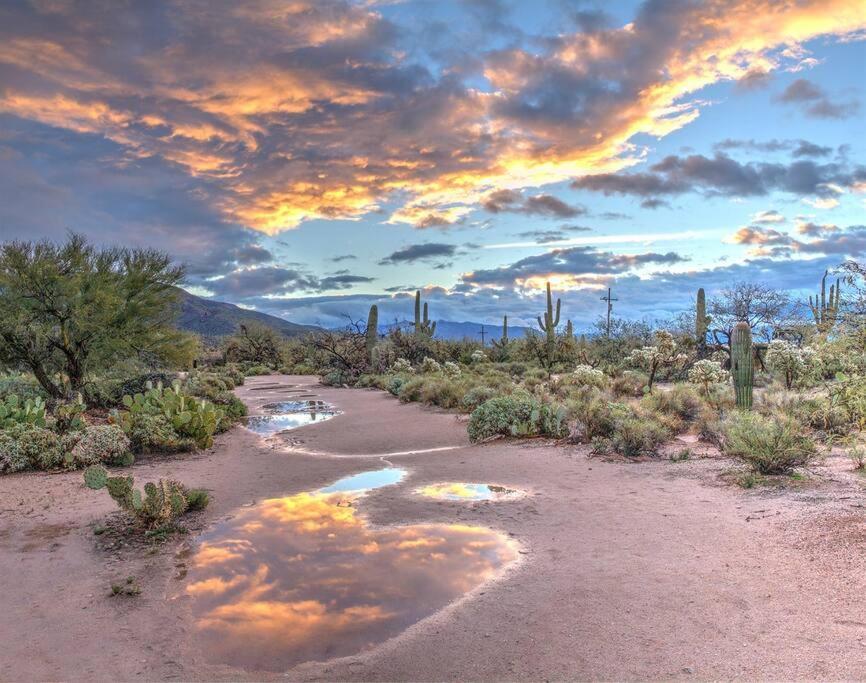 Silver Spur Homestead Luxury Glamping - The Cowboy Tombstone Eksteriør bilde